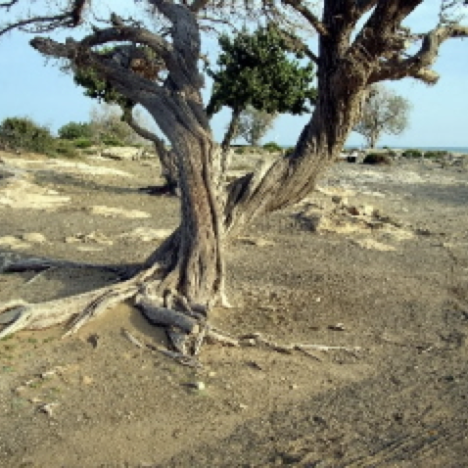 Storia di Creta